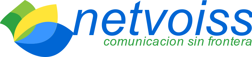 Netvoiss Chile Limitada